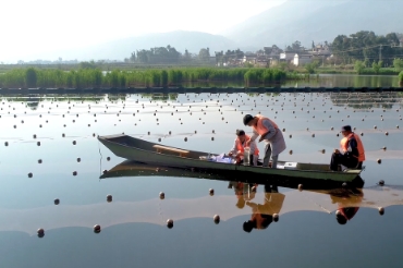 水生態(tài)修復